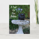 Search for black cat birthday cards Pet