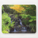 Search for maple trees mousepads Garden
