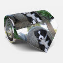 Search for collies ties Dog