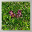 Recherche de premier jour posters Animal