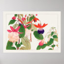 Recherche de fushia posters Fuchsia
