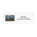 Search for herons return address labels Animals