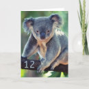 Recherche de koala anniversaire cartes Marsupial