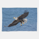 Recherche de aigles cuisine linges Oiseau