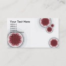 Search for rendering business cards Fractal