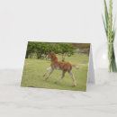 Search for island easter cards Polynesia