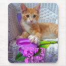 Recherche de griffe tapis souris Chat