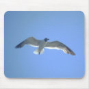 Search for seagulls mousepads Seashore