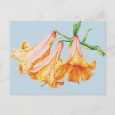 Search for orange lily postcards Flowers