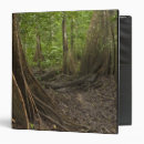 Search for root binders Plant