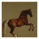 Search for tailes paper posters Horse