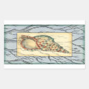 Search for beach shell stickers Coastal