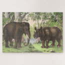 Search for rhino puzzles Watercolor