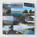 Search for australia clocks Kangaroo
