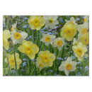 Recherche de jonquille planches à découper Jardin