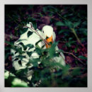 Recherche de cache cache photographie Oiseau