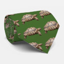 Search for spurs ties Tortoise