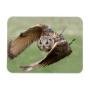 Recherche de duc magnets Animal