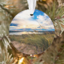 Search for lake michigan ornaments Water