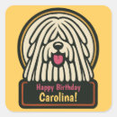 Search for beardie stickers Cute