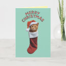 Search for orange cat christmas cards Santa