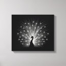 Search for white peacock art Modern