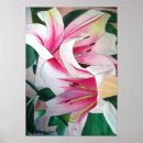 Search for white lily art Floral