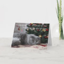 Search for funny history cards Cat