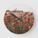 Recherche de coquelicots horloges Nature