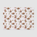 Search for bear tissue paper Pink