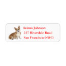 Search for pembroke corgi return address labels Puppy
