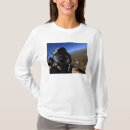 Recherche de combat aérien tshirts Vue aérienne
