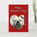 Search for english bulldog valentines day cards Dogs