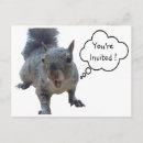 Search for gray squirrel postcards Grey