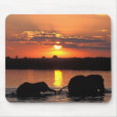 Search for herd mousepads Brown