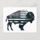 Recherche de bison américain posters 4 juillet
