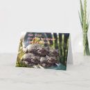 Search for toad birthday cards Humourous