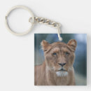 Search for lioness keychains Close up