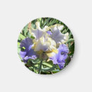 Search for gilded magnets Flower