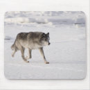 Search for wild wolf mousepads Nature