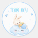 Search for clouds stickers Gender reveal