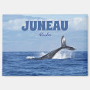 Recherche de alaska magnete Baleines