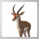 Search for springbok Antelope