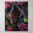 Recherche de figues posters Fleurs