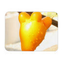 Search for fruit magnets Plants