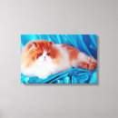 Search for cat lying down posters Full length