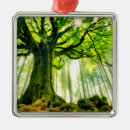 Recherche de rayon de soleil ornements Arbre