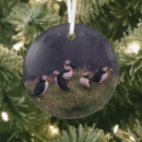 Search for puffin ornaments Wildlife