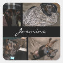 Search for dogs name stickers Modern