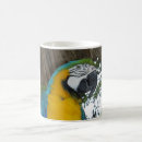 Search for blue parrot mugs Bird